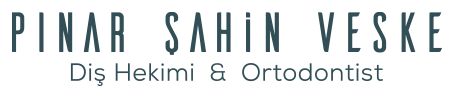 Pinar Veske logosu